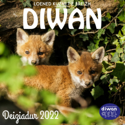 2022 Calendrier Diwan